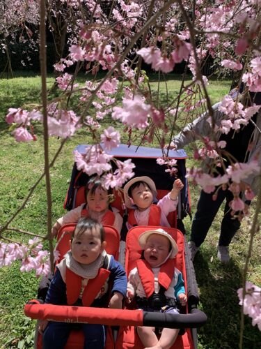 お散歩・お花見☆